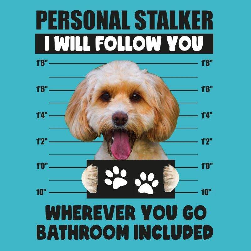 Personal Stalker Dog, Funny Cockapoo Lover gift