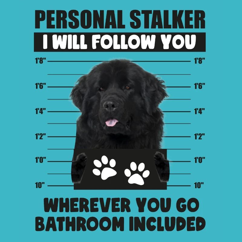 Persönlicher Stalker-Hund, Flat Coated Retriever, Geschenk