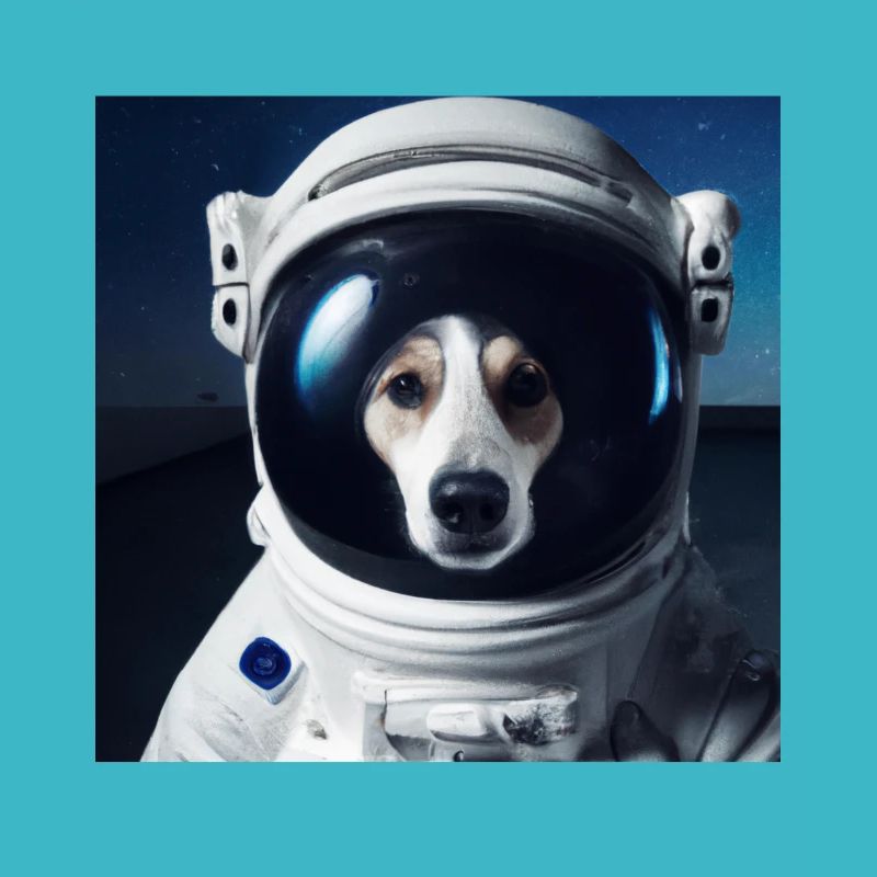 Chien dans l’espace