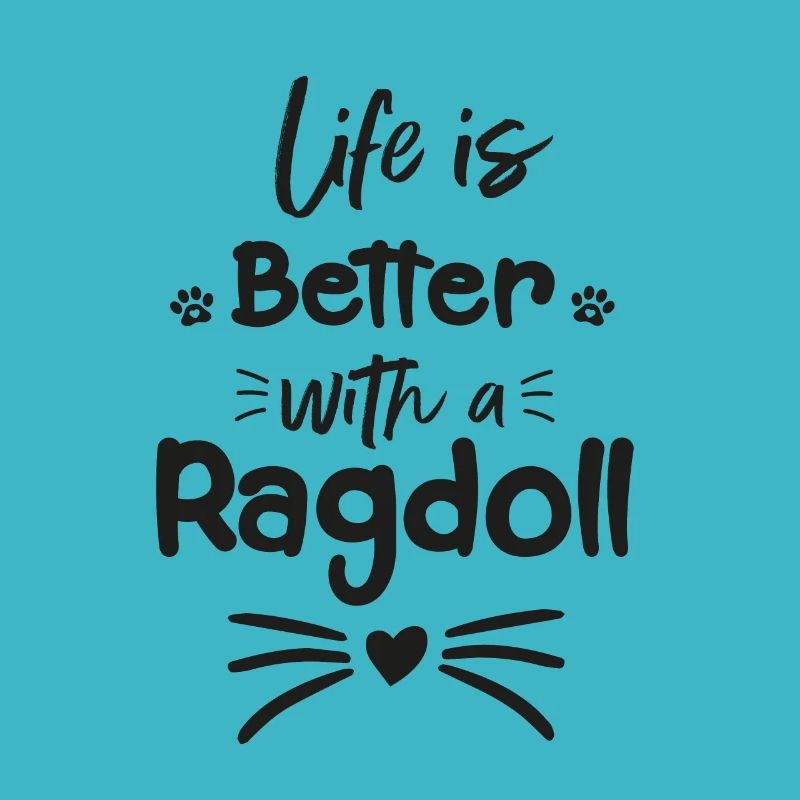 Katze, Liebhaber, Besitzer, Das Leben ist besser mit einer Ragdoll