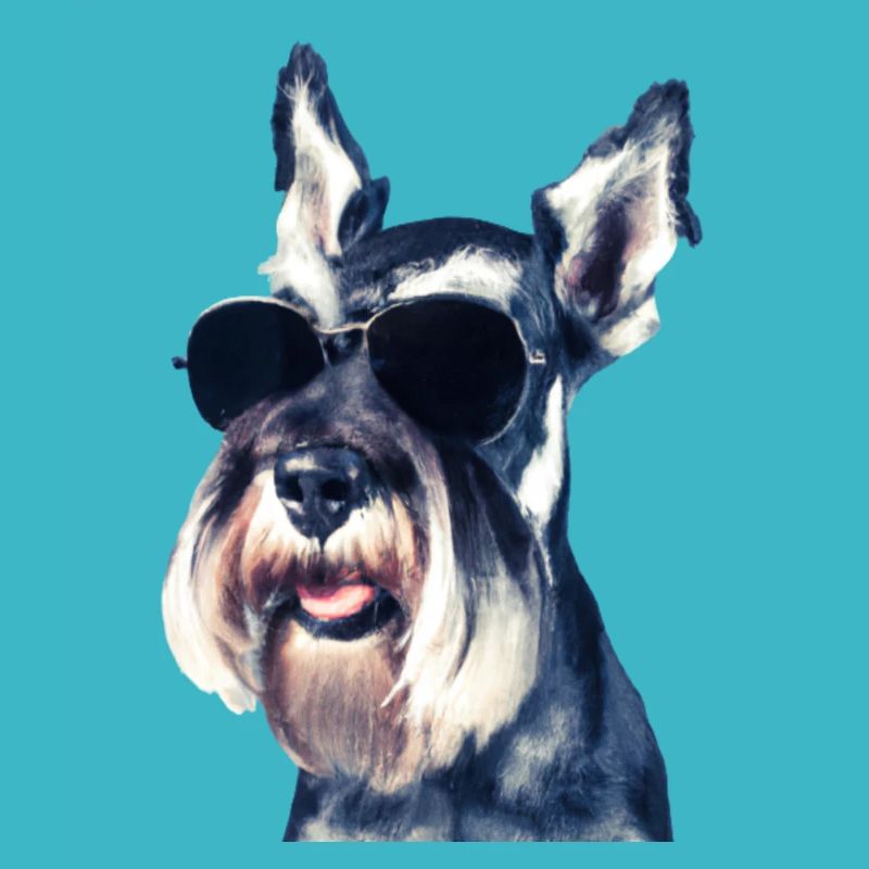 Miniature Schnauzer