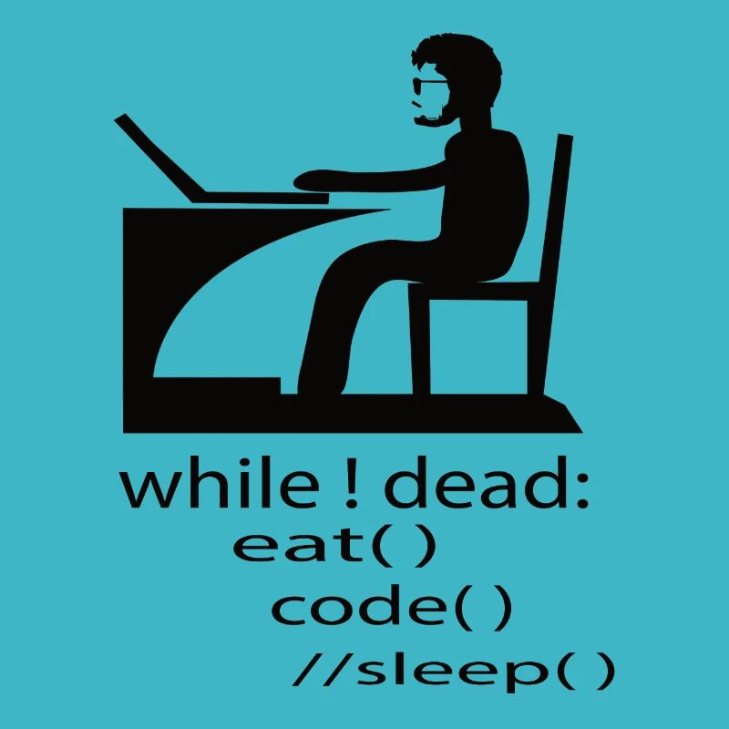 Softwareentwickler Programmierer Geschenk