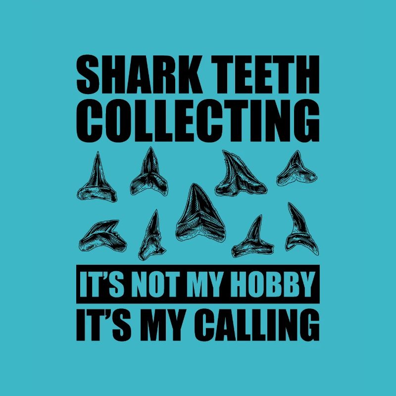 Collecte de dents de requin