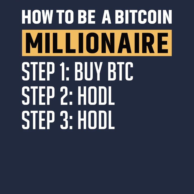 Bitcoin Plan B BTC Satoshi Krypto Hodl Maximalist