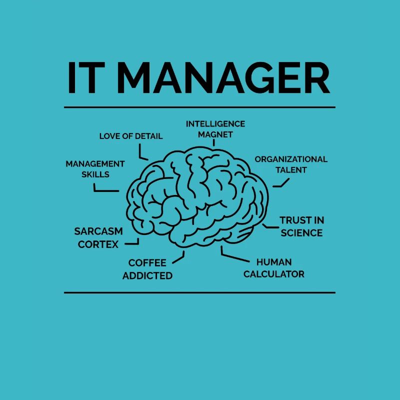IT Manager