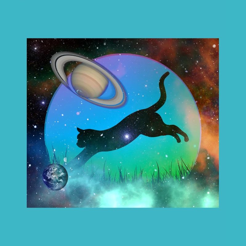 Chat de l’espace galactique