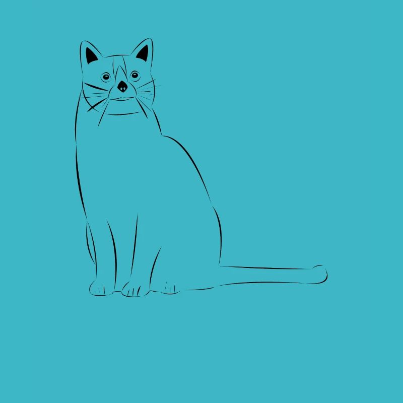 Cat drawn