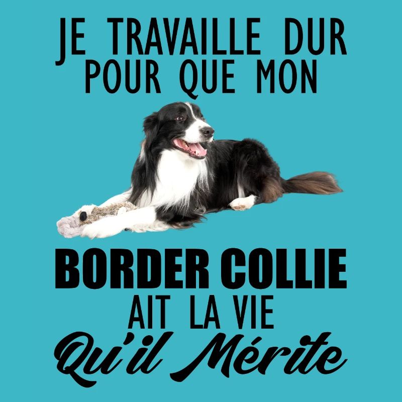 border collie 7