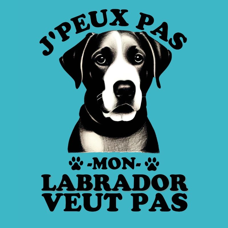 Mon Labrador veut pas 2