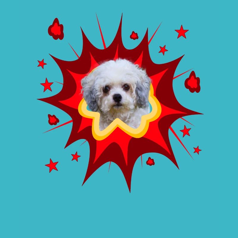 Conception de chien comique - Pow - Bolonka