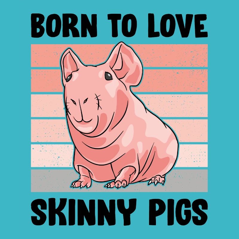 Cochon d’Inde sans poils Cochon maigre