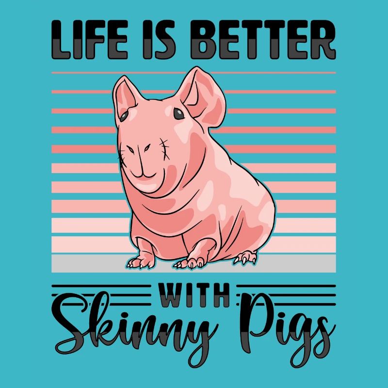 Cochon d’Inde sans poils Cochon maigre