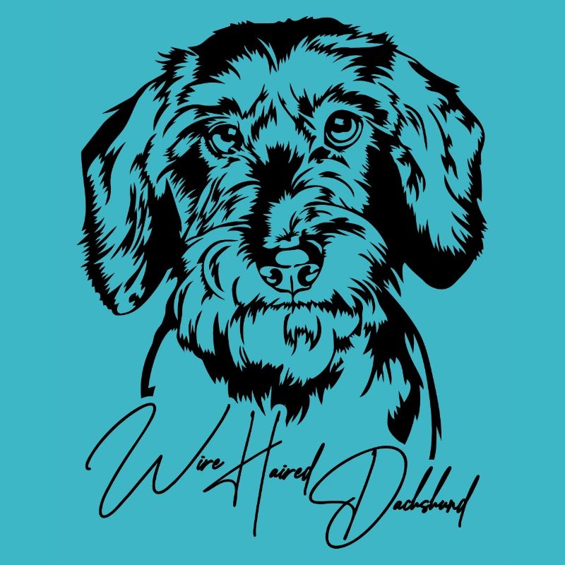 Wire Haired Dachshund Portrait Hunde Wilsigns