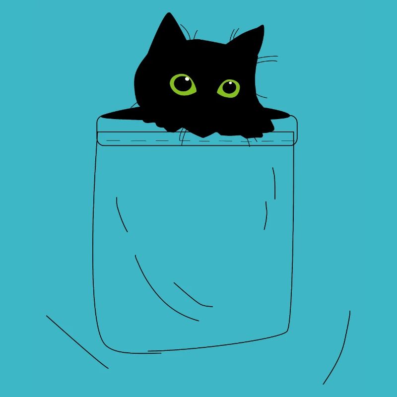 Kitten
