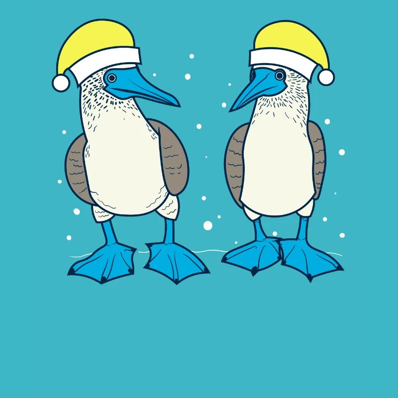 Blue-footed booby Christmas
