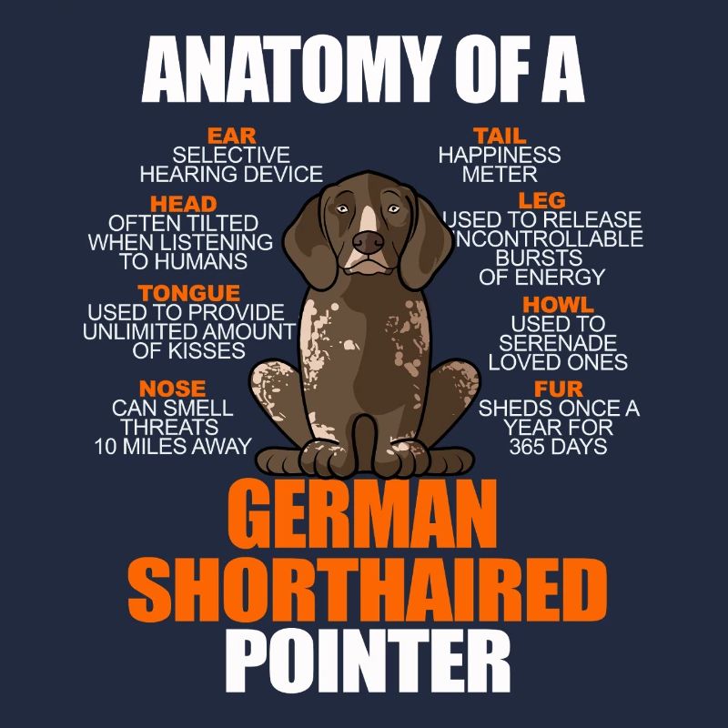 Anatomie eines Deutschen Kurzhaar-Pointers Lustiges GSP
