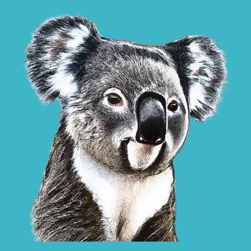 Koala süß niedlich Geschenkidee Koalabär