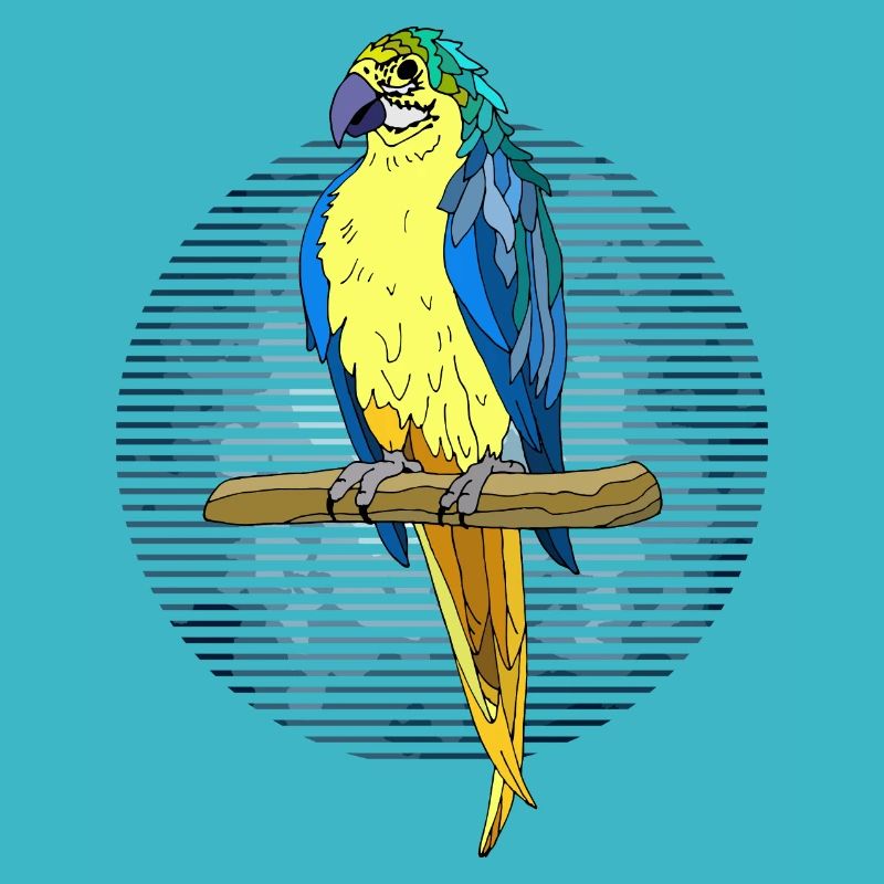 Oiseau