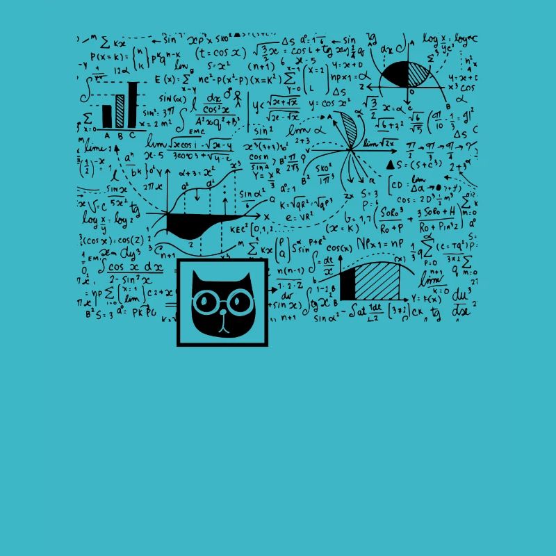 Nerd Schrödinger Physics Big Bang Funny Gift