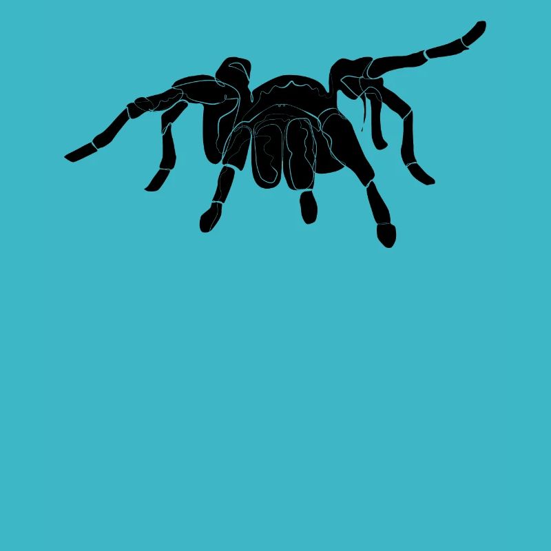 Tarantula Spider