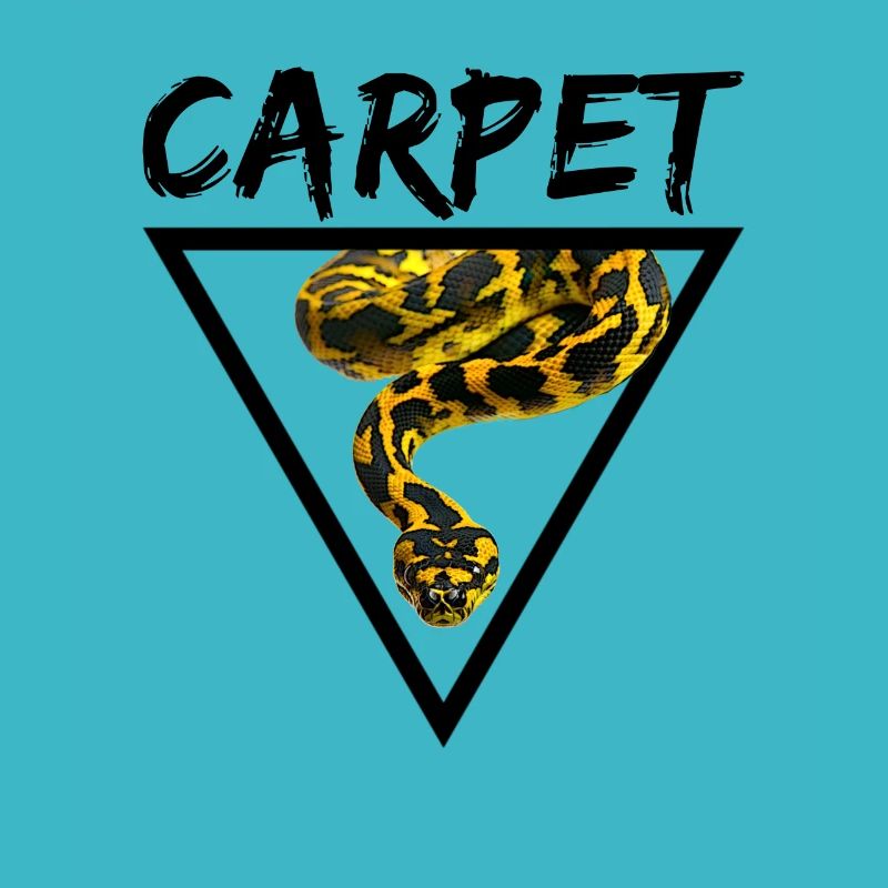 Teppichpython Geometrische Schlange Besitzer