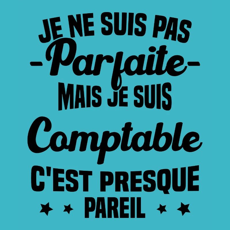 Pas parfaite mais je suis Comptable Humour Cadeau