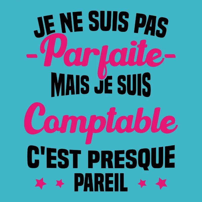 Pas parfaite mais je suis Comptable Humour Cadeau