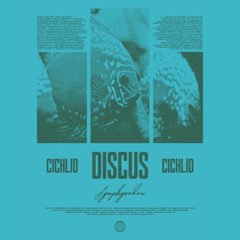 Discus Cichlidé Aquarium Fish Keeper