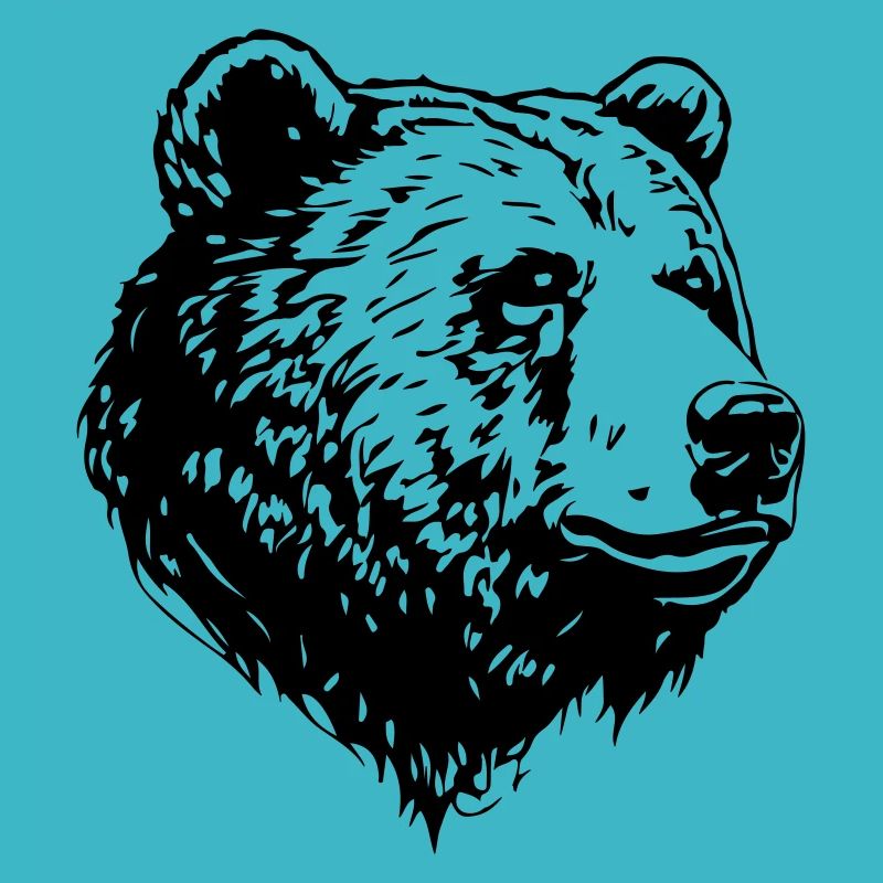 Bär Grizzly Kopf
