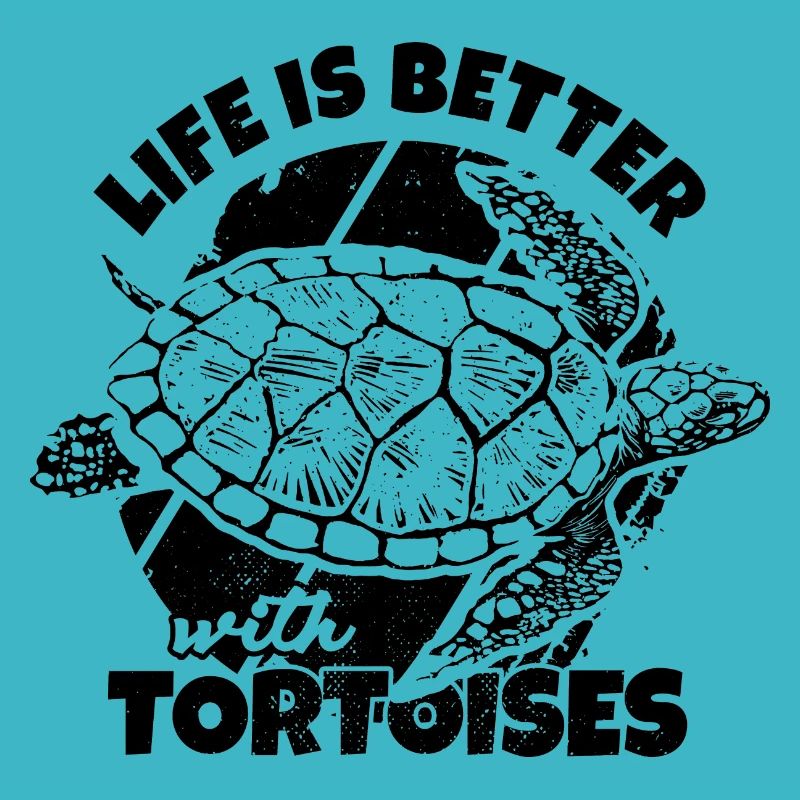 Tortues