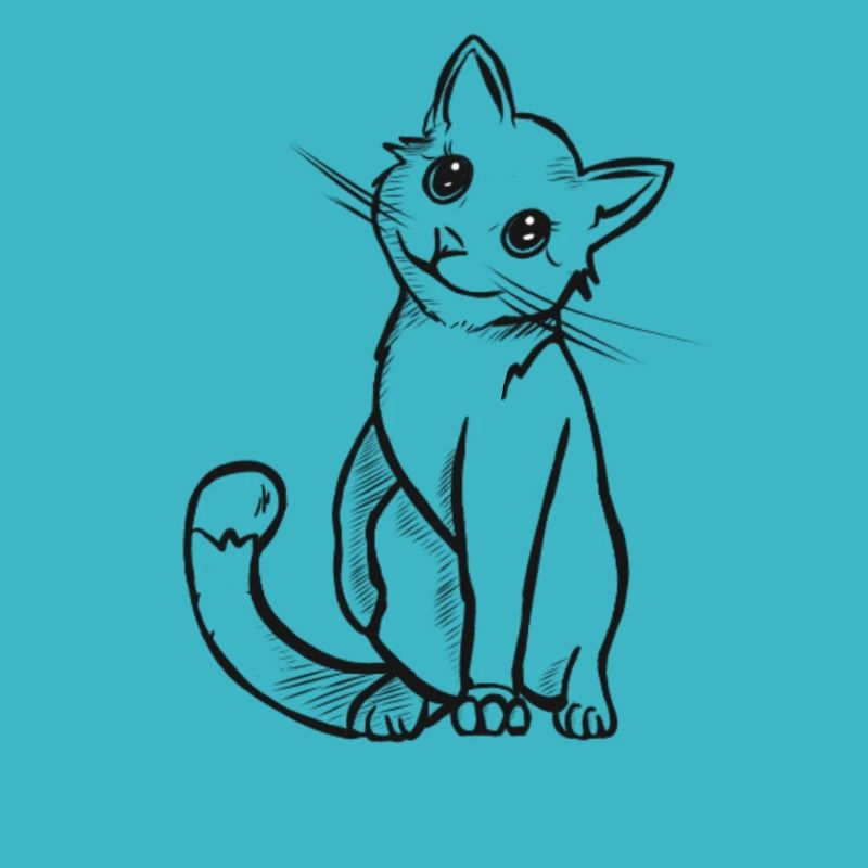 chat mignon
