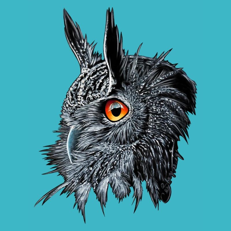 Uhu /Bubo Bubo/Hibou