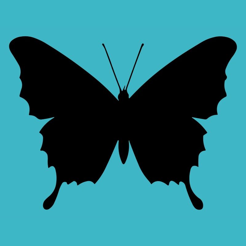 Petit papillon