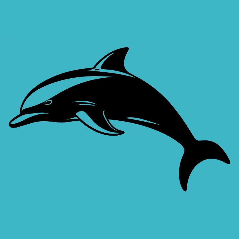 Bébé dauphin