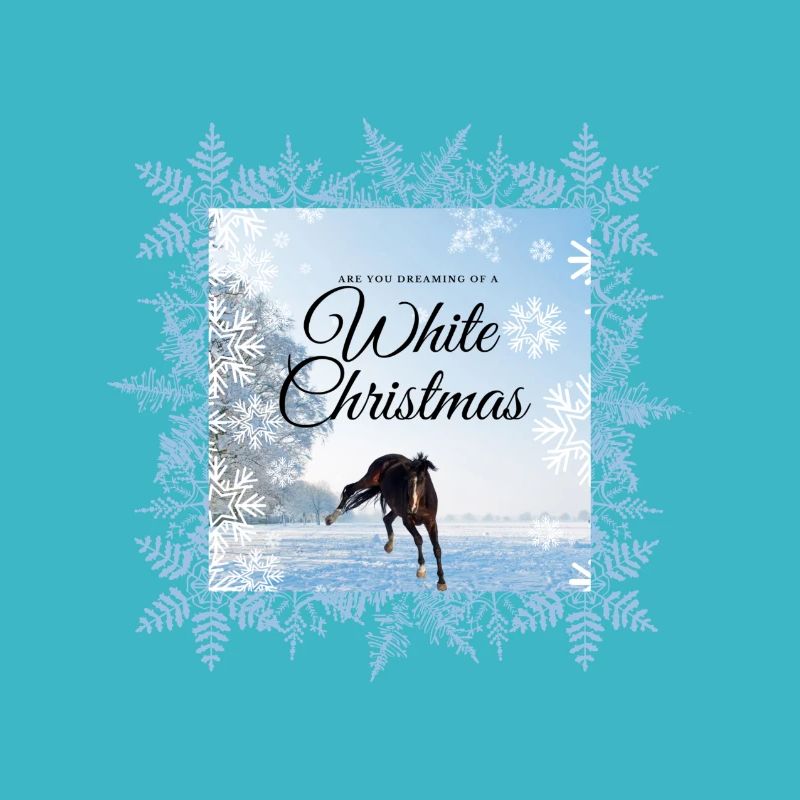 Winter Magic - Noël blanc avec votre cheval