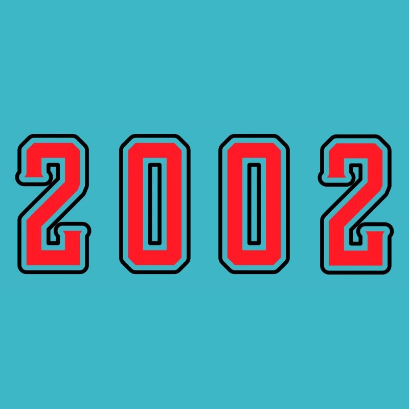 2002 year birthday