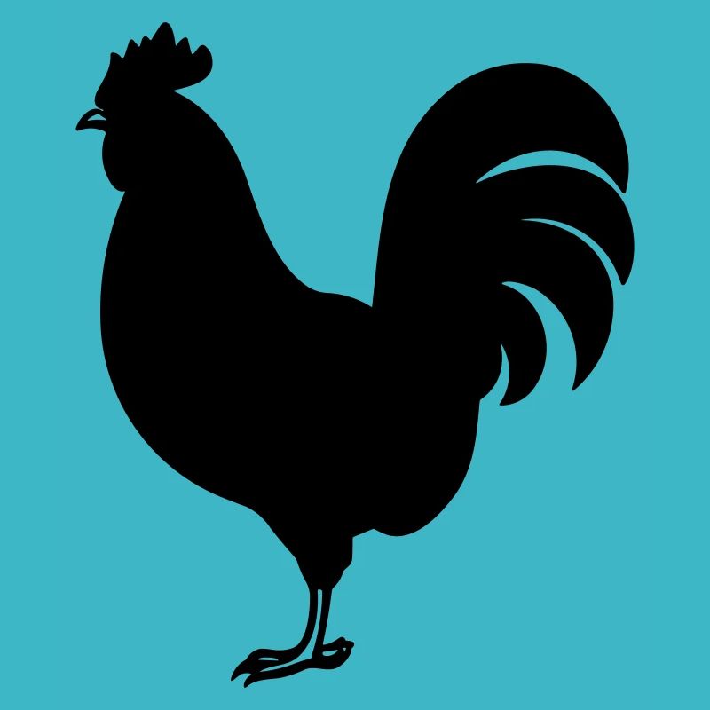 Poule