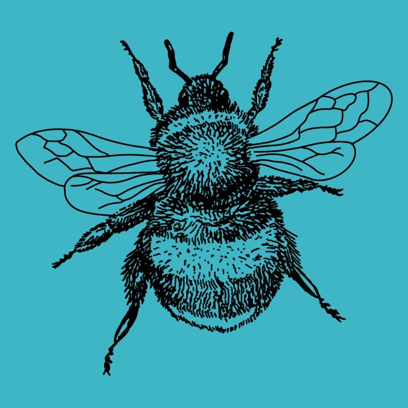 Abeille
