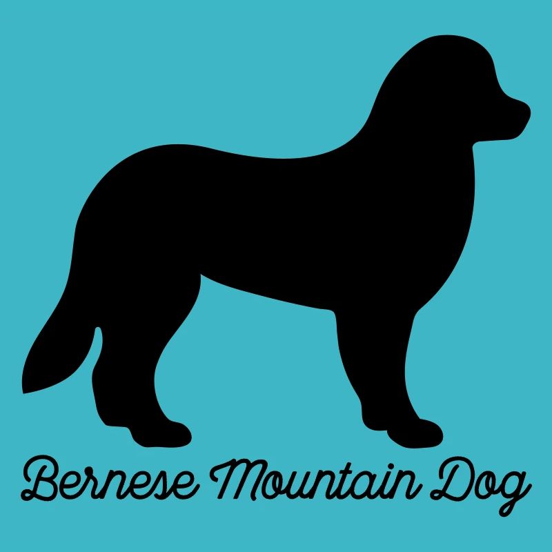 Berner Sennenhund