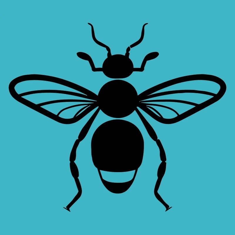 Flea insect