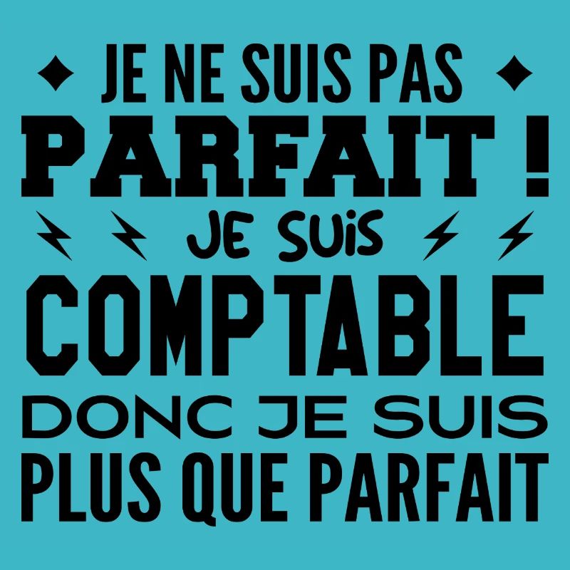 Un Comptable plus que parfaite, métier de rêve