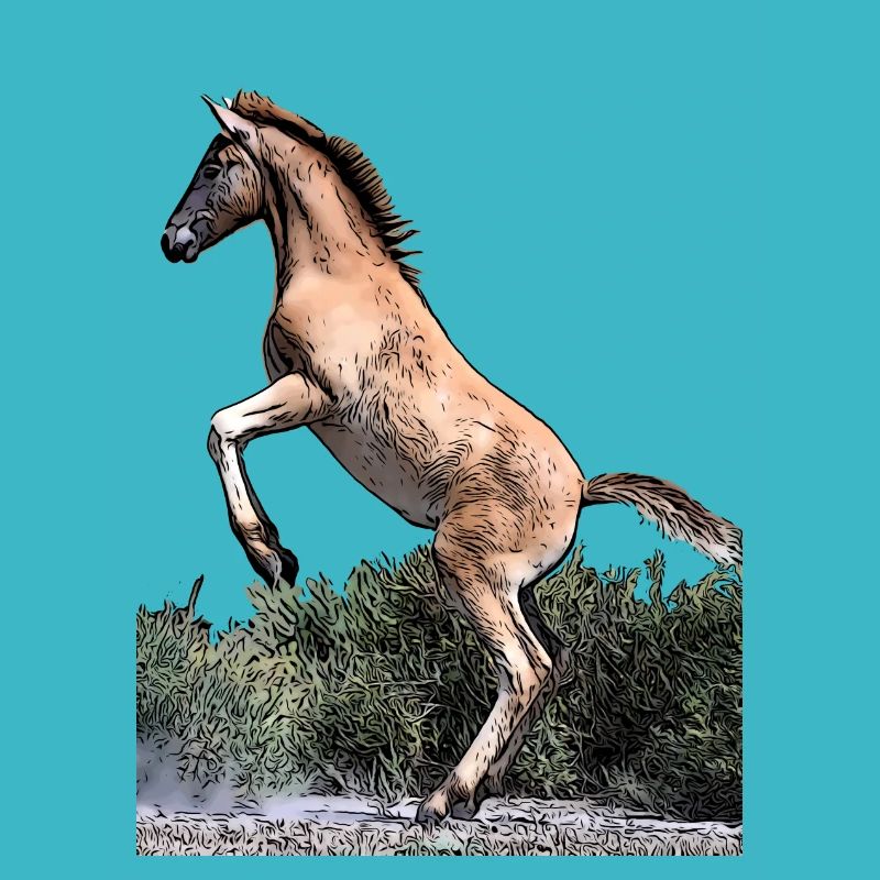 Junges Pferd