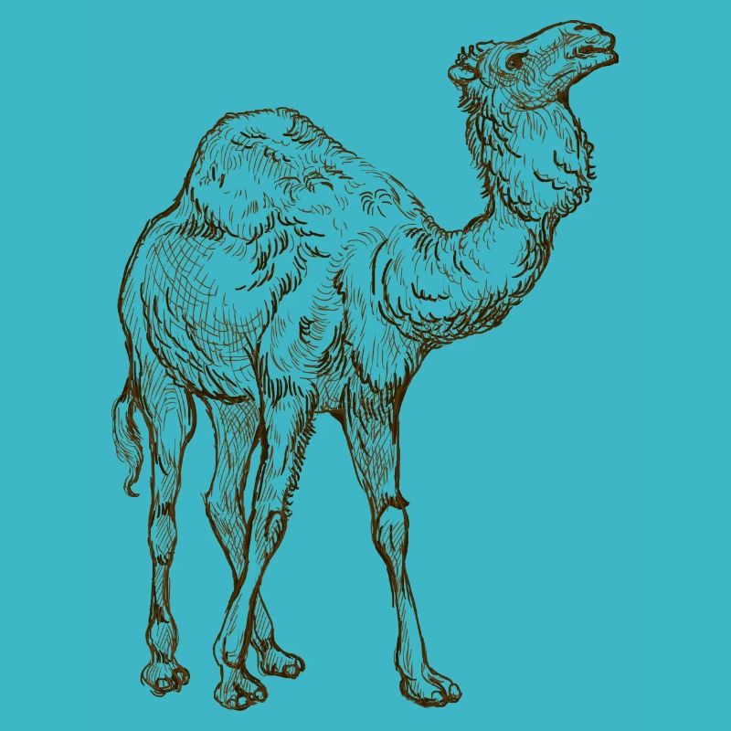 Wildtiere