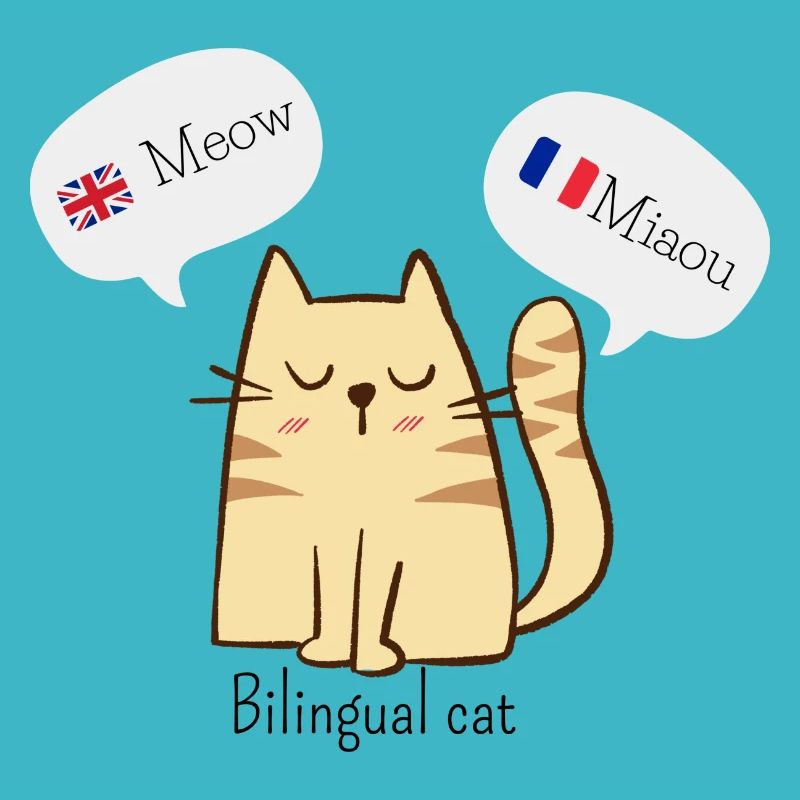 Bilingual cat | Chat bilingue français/anglais