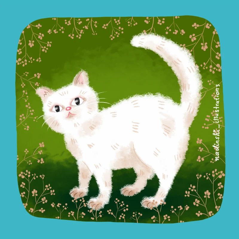 chat mignon