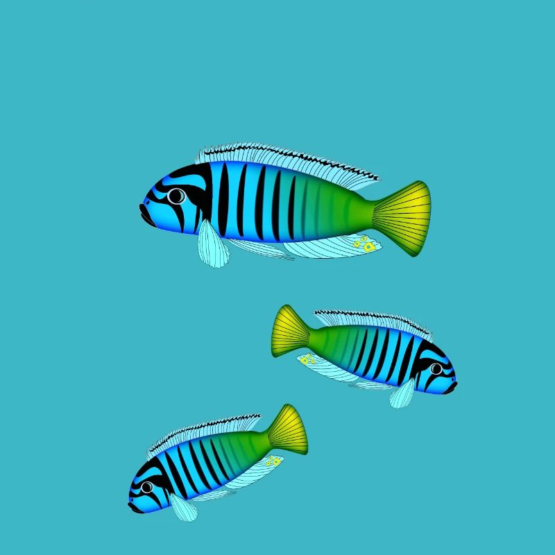 Fisch Barsch Bunt Barsche Afrikanische Malawi