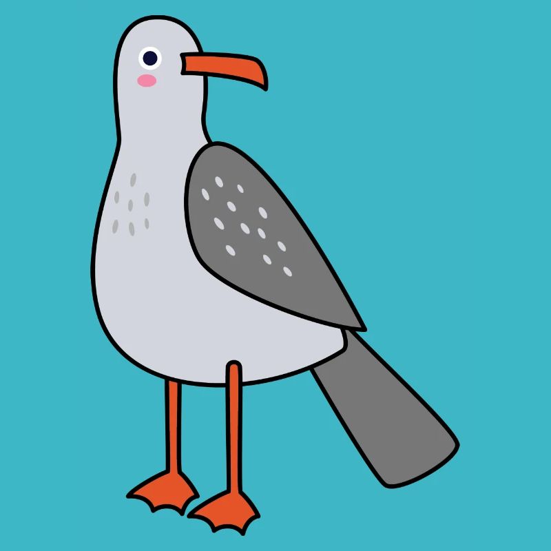 Möwe