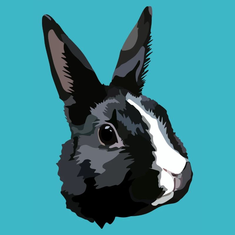Rabbit black and white