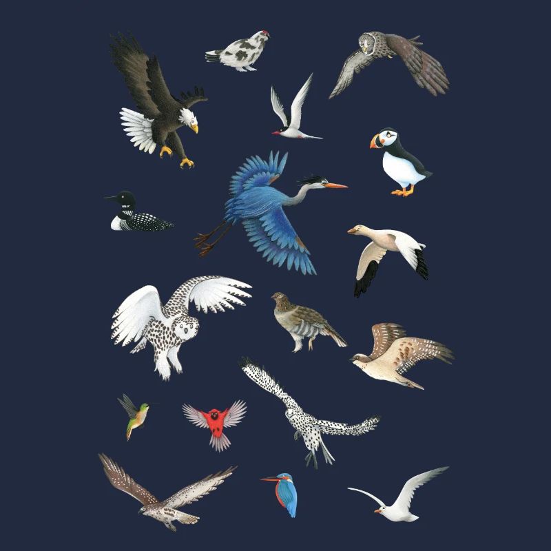 Birds