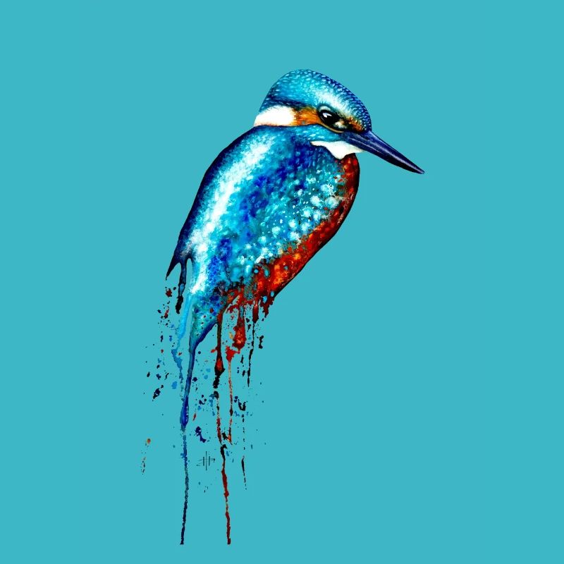 Martin-pêcheur aquarelle